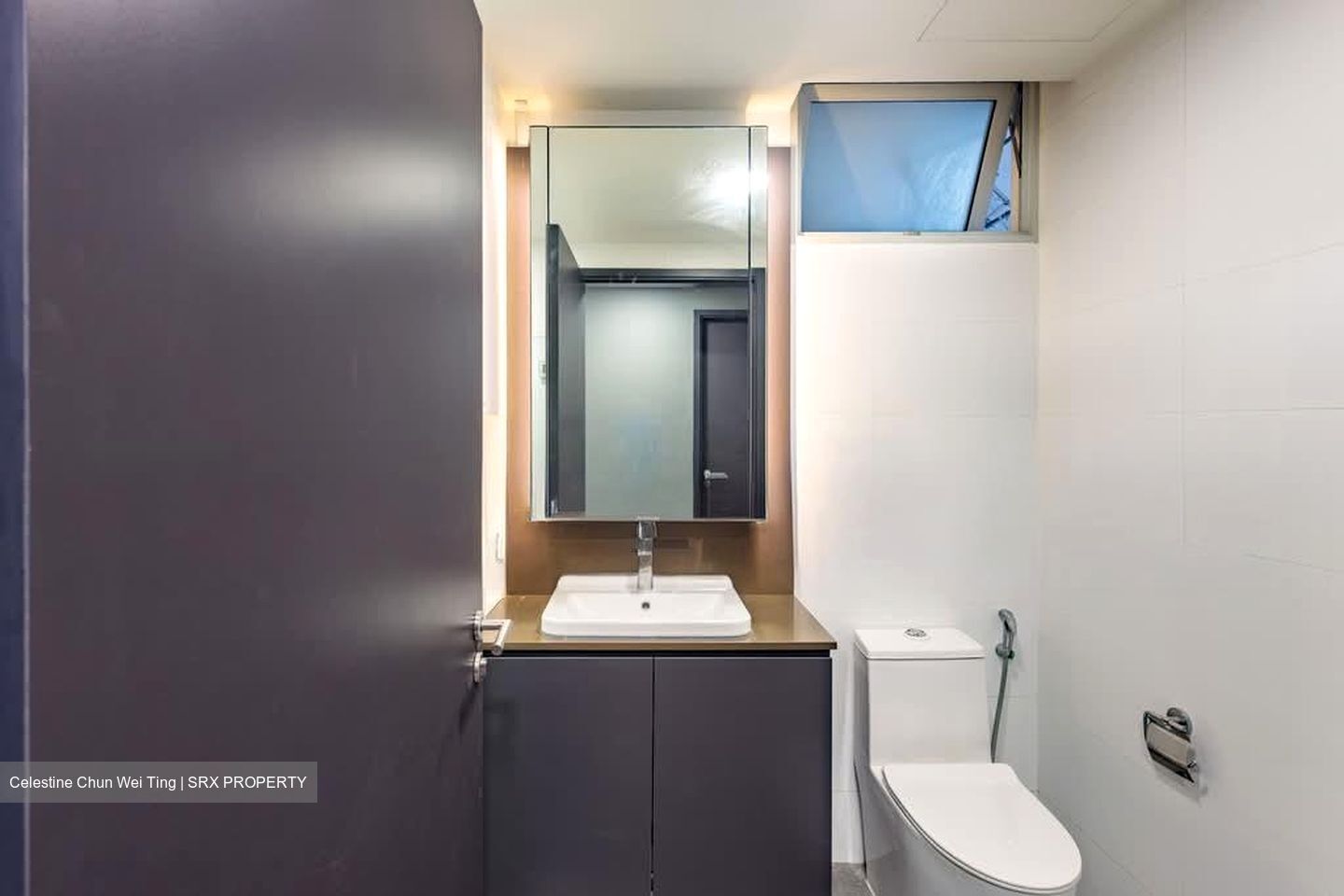 Wembly Residences (D19), Apartment #581369251